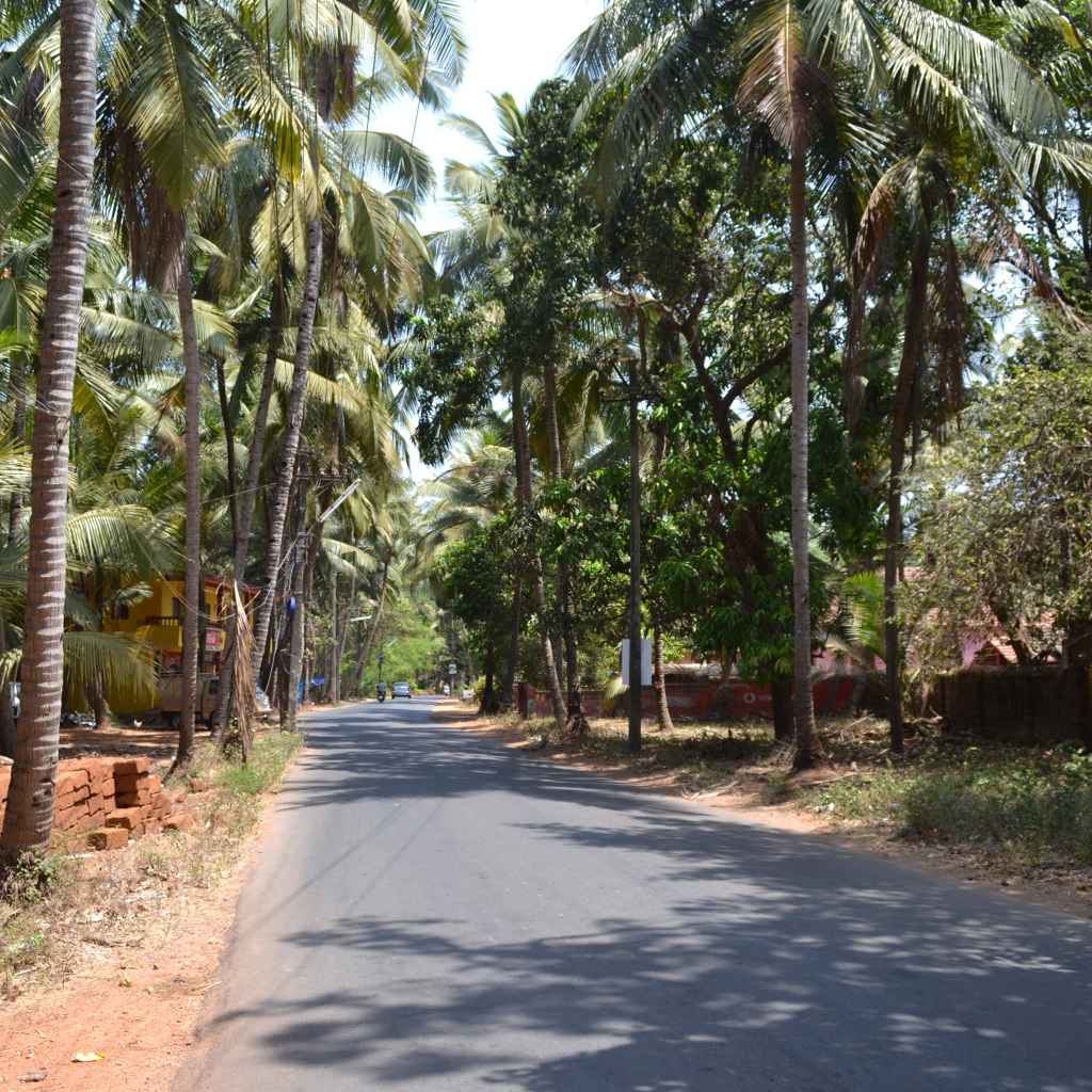 Прогулка по улицам Бенаулима