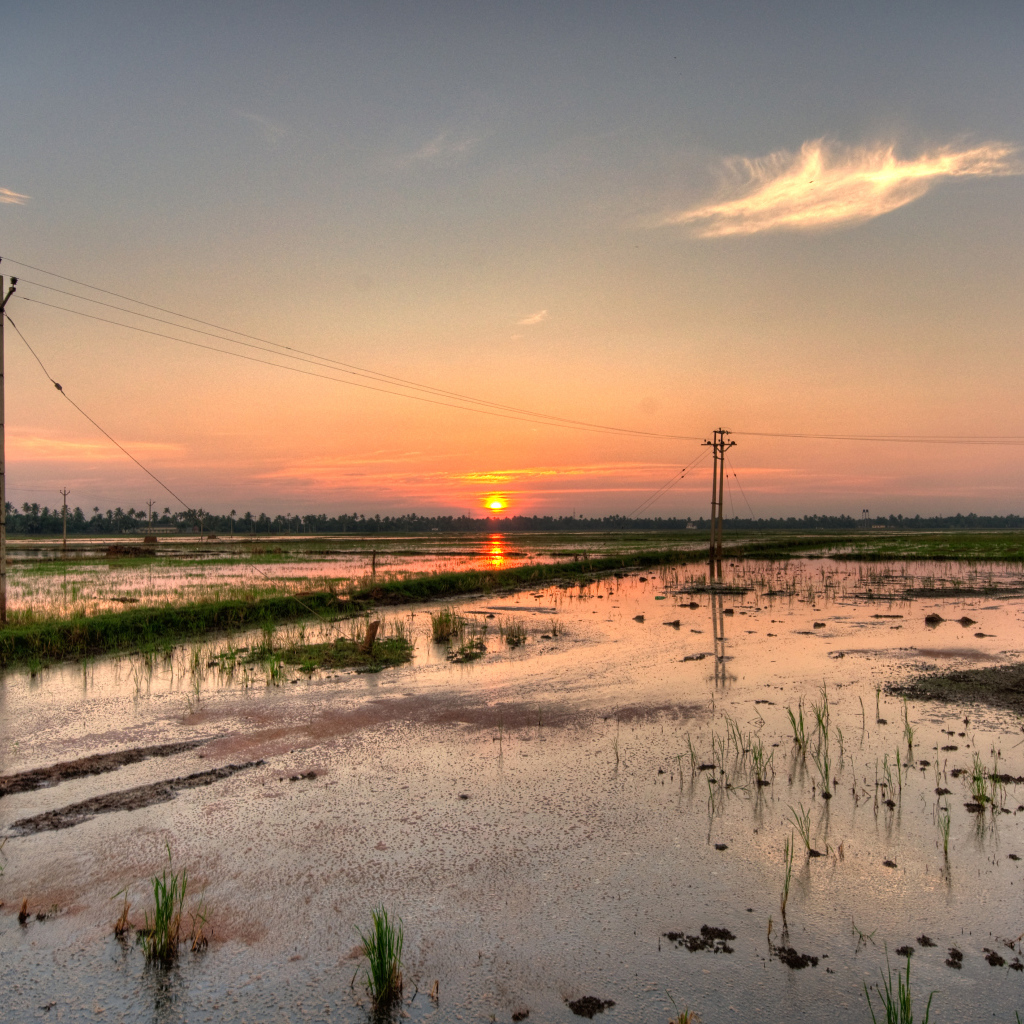 Водная местность в Алапуже