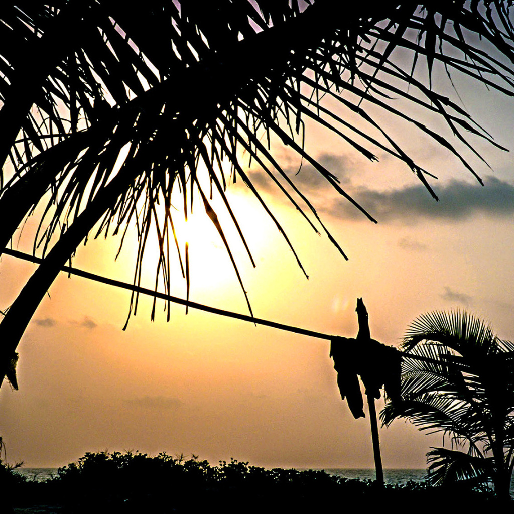 Чудесные закаты в Гоа
