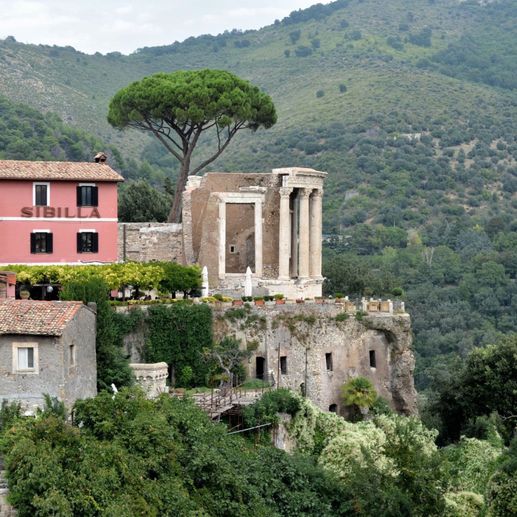 Гнездо хищной птицы в Тиволи, Италия