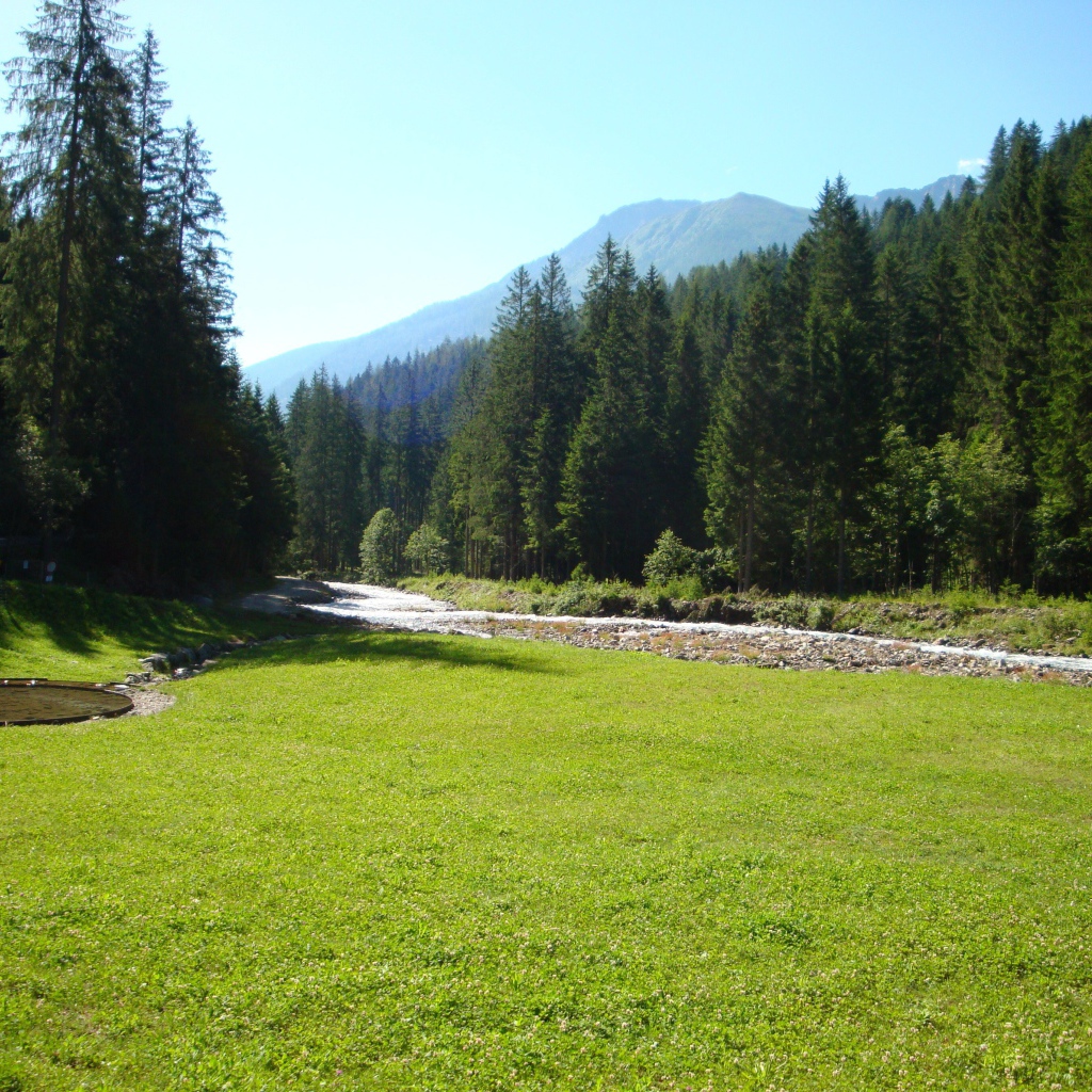 Альпийский луг на горнолыжном курорте Валь ди Соль, Италия