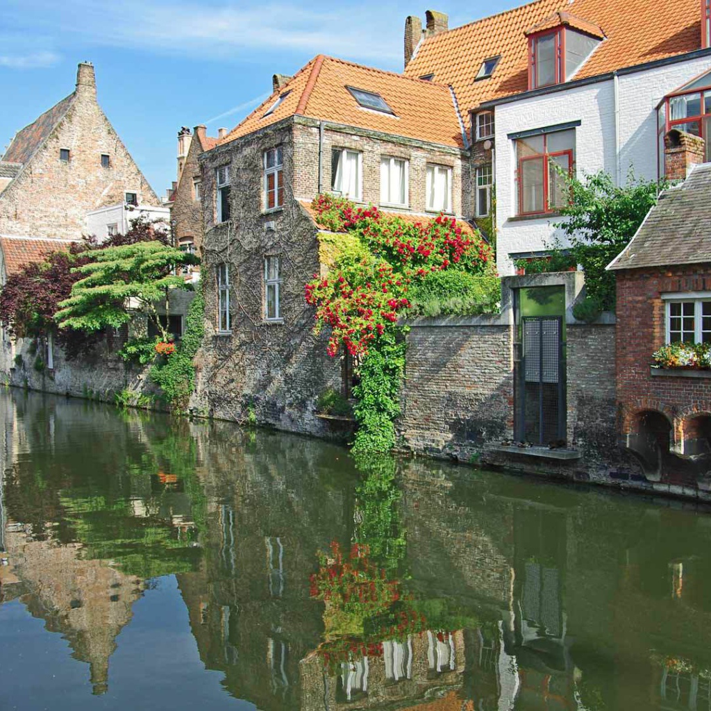 Цветущие растения в Венеции, Италия