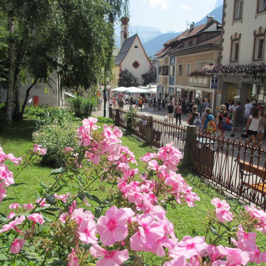 Цветы на клумбе на курорте Ортизей, Италия