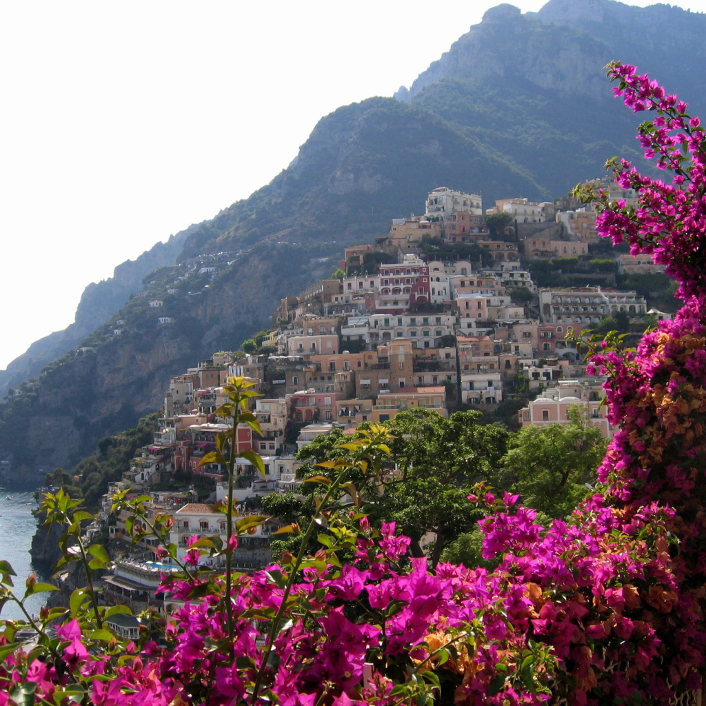 Цветы на фоне курорта Позитано, Италия