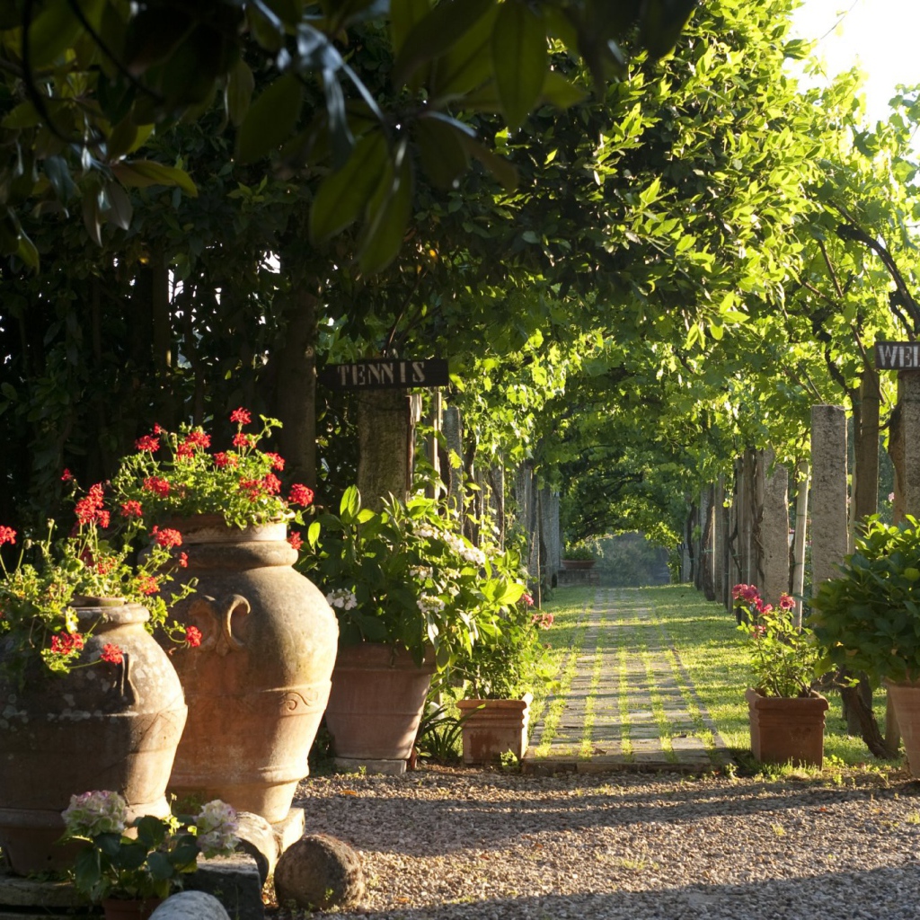 Зеленая аллея в Сиене, Италия