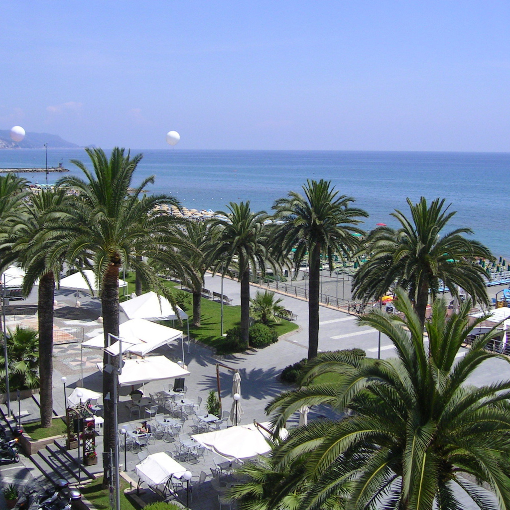 Пальмы на пляже в Лоано, Италия