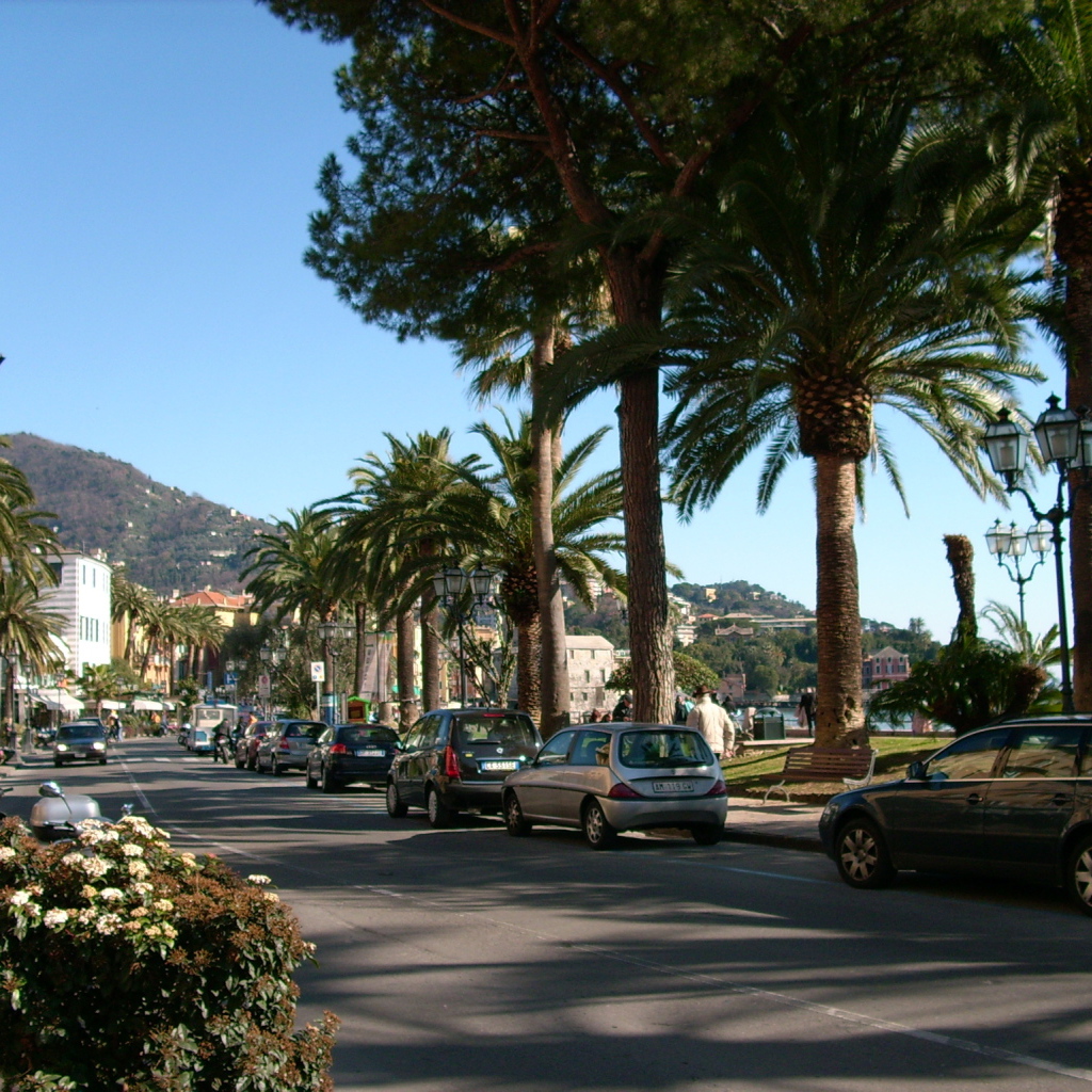 Пальмы на набережной на курорте Рапалло, Италия