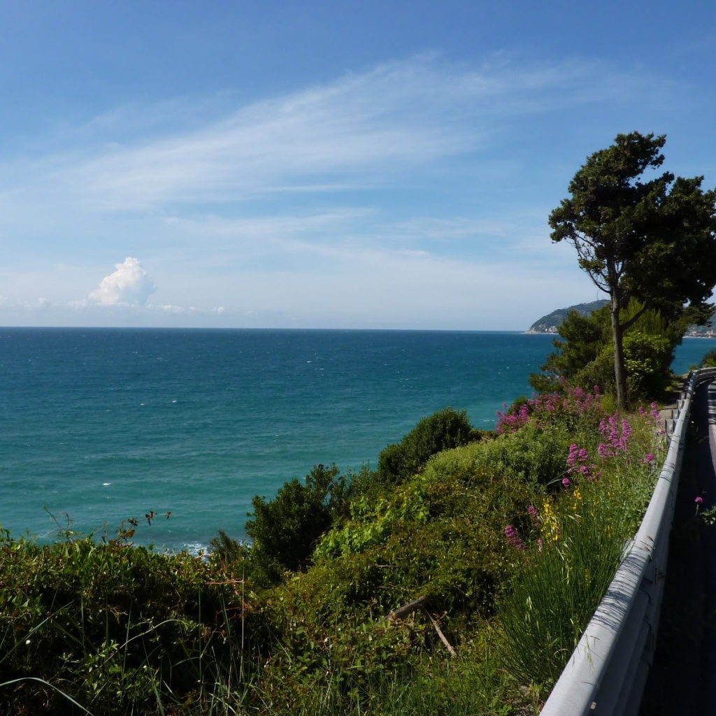 Деревья на набережной в Санто Стефано аль Маре, Италия