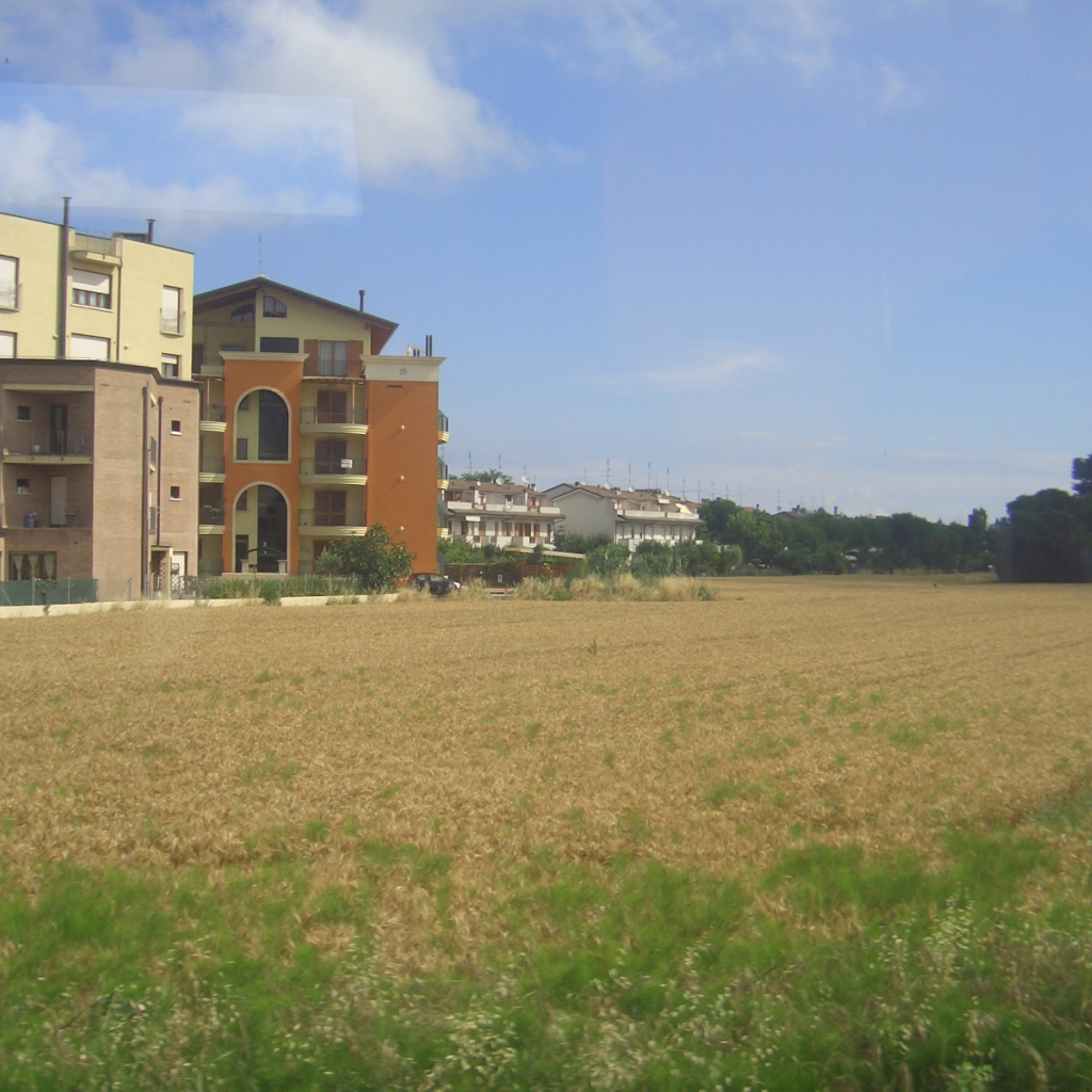 Пшеничное поле в Сан Марино, Италия