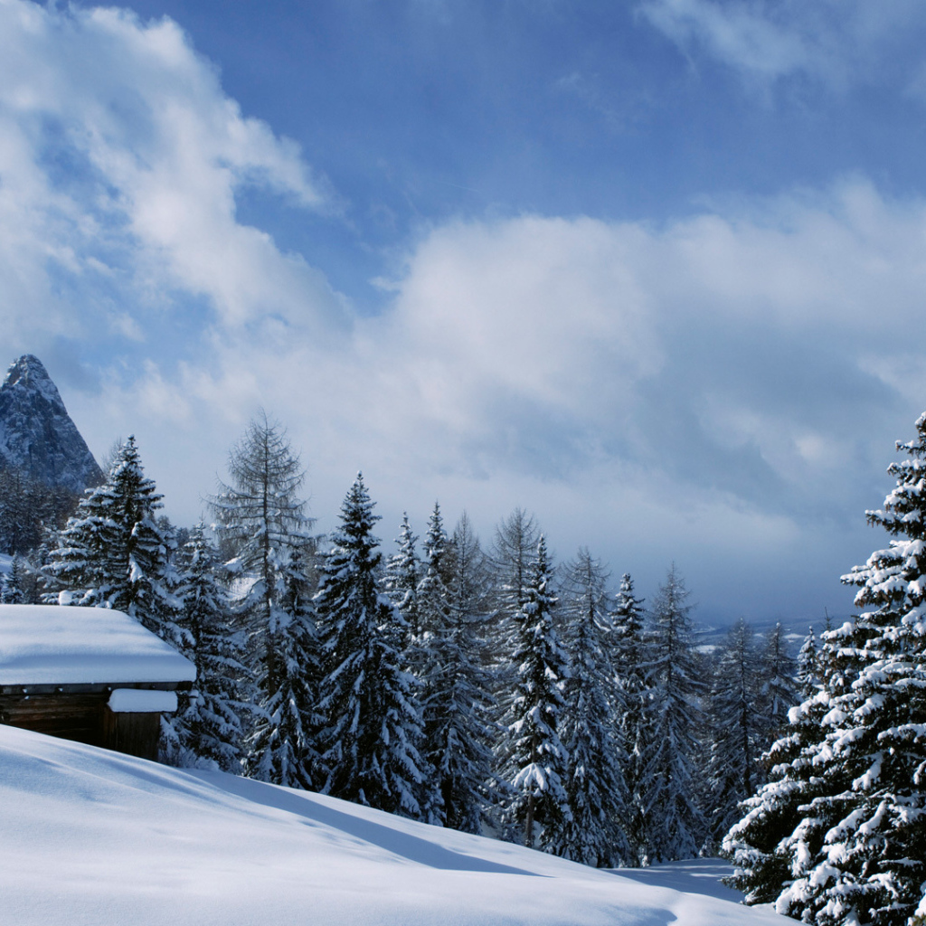 Зимний отдых на горнолыжном курорте Валь Гардена, Италия