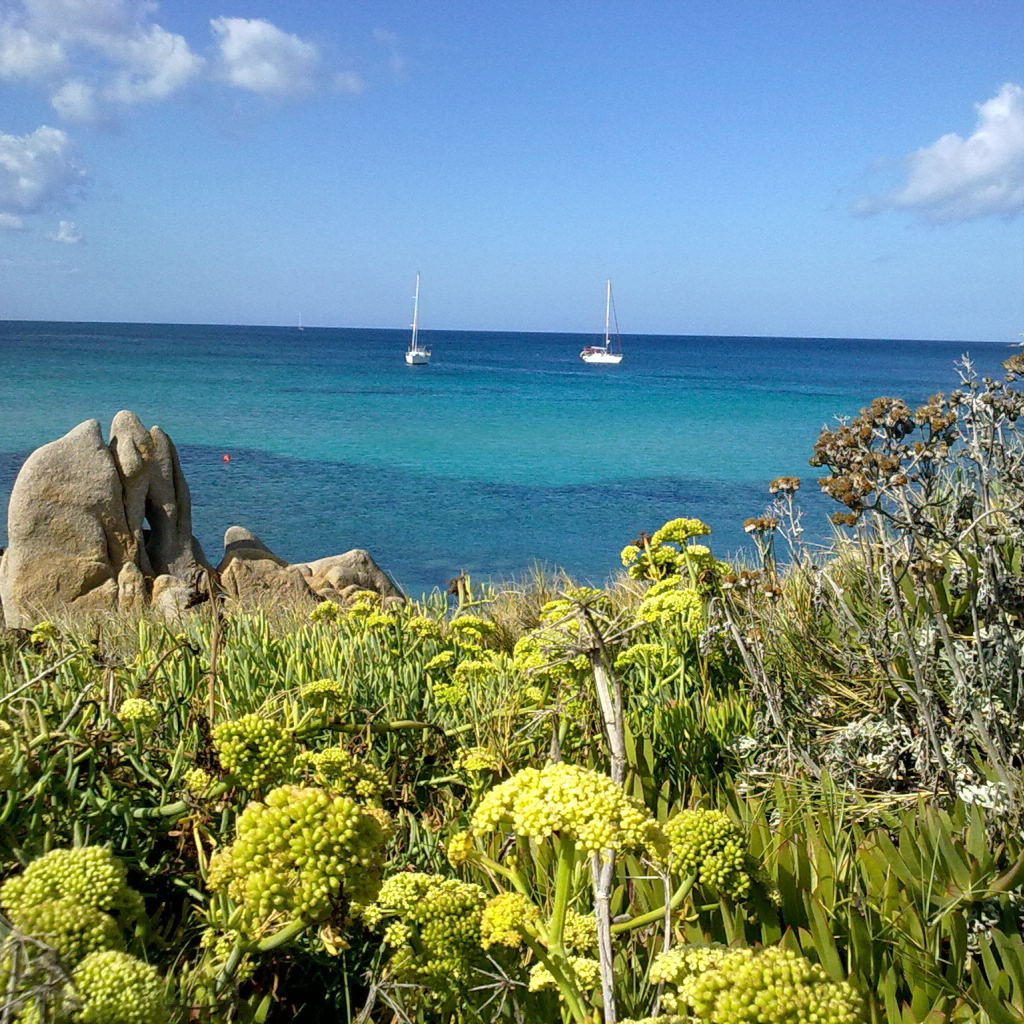 Яхты в заливе на курорте в Пьетра Лигуре, Италия