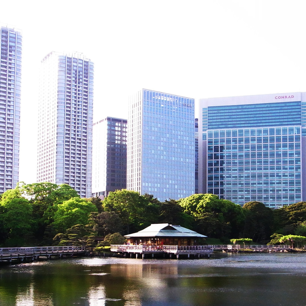 Озеро на фоне зданий в Токио