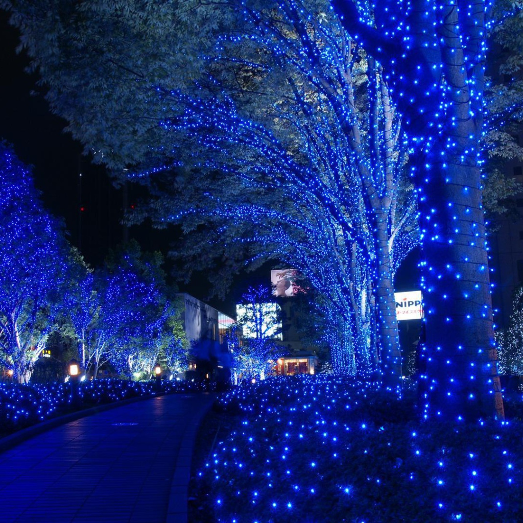 Деревья в парке в Токио