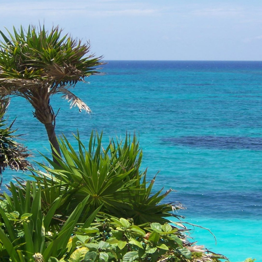 Солнечное Мексика