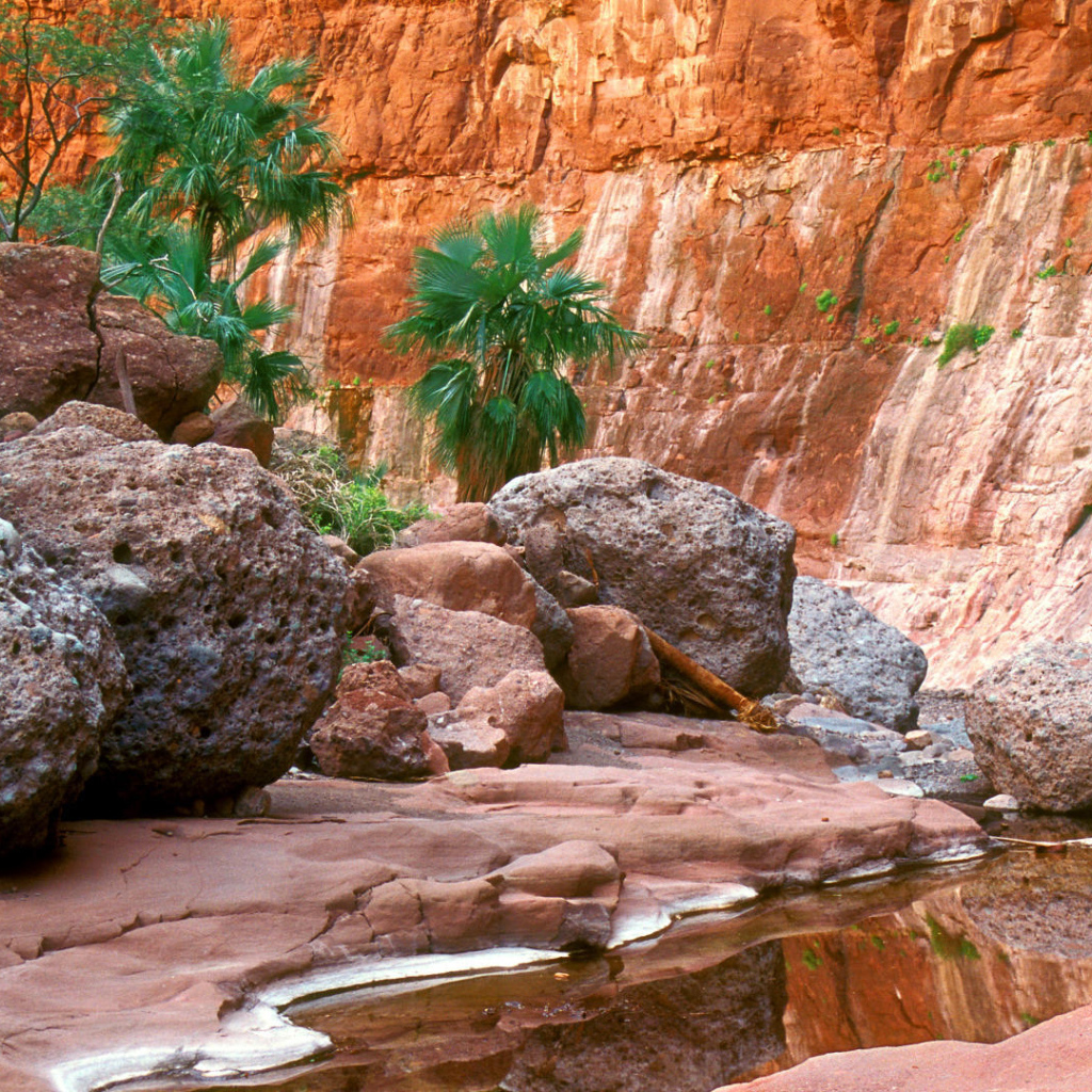 Гран-Плас в Мексика