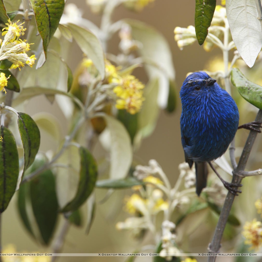 Захватывающие дух Перу