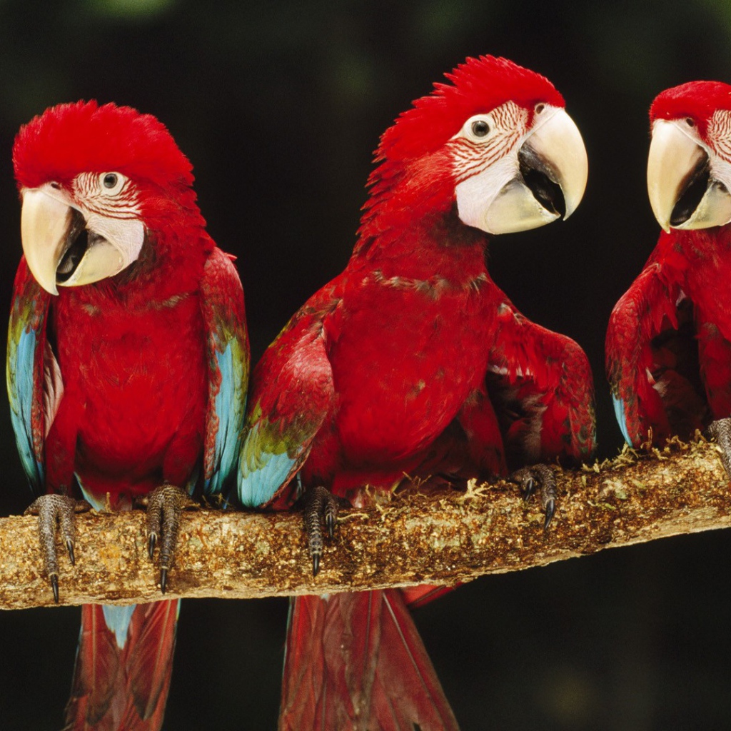 Впечатляющие место в Перу