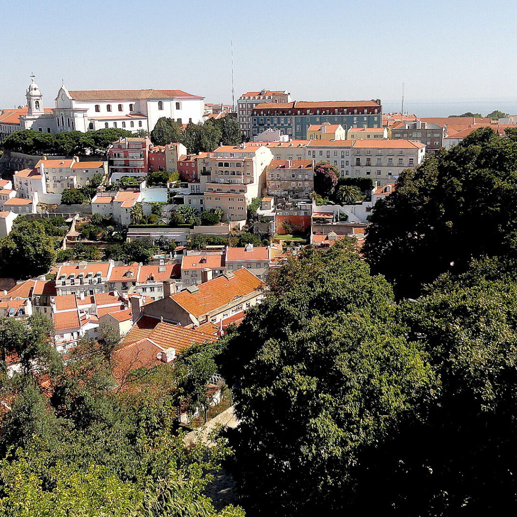 Деревья на фоне Лиссабона
