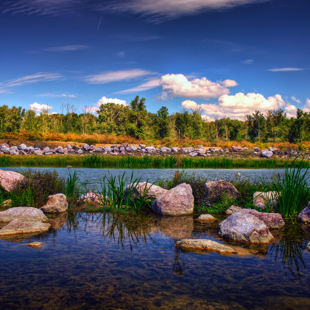 Парк в городе Бакэу, Румыния