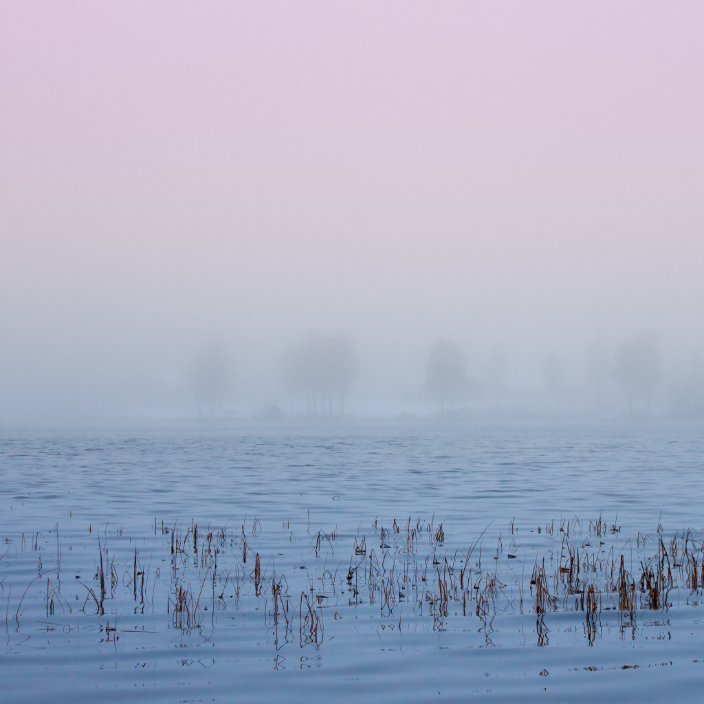 Туман в Швеции
