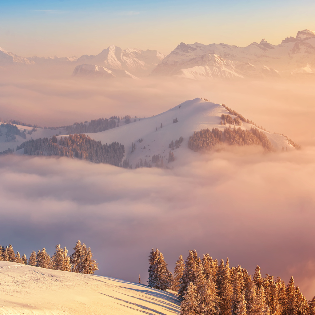 Гора Риги, Швейцария