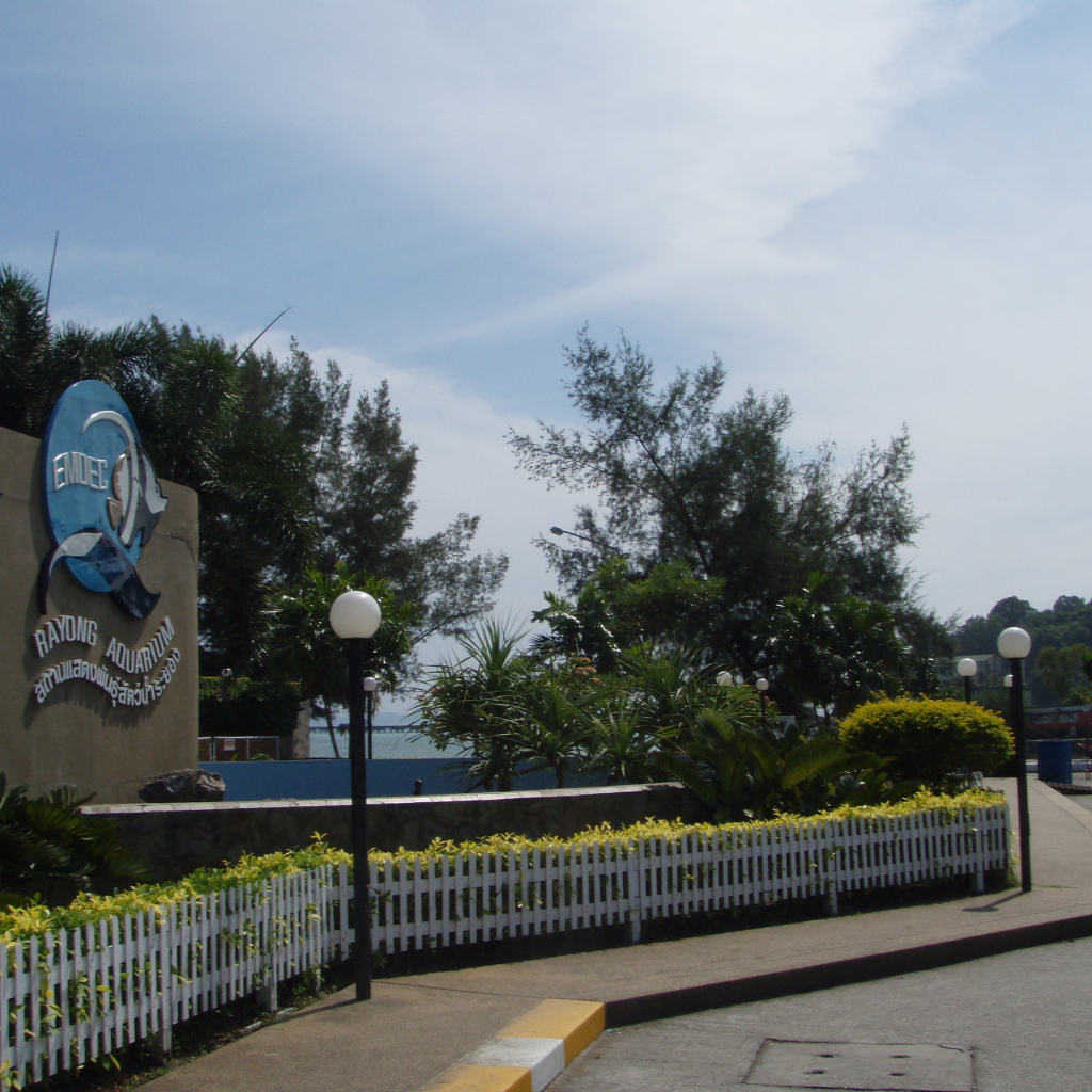 Аквариум на курорте Районг, Таиланд