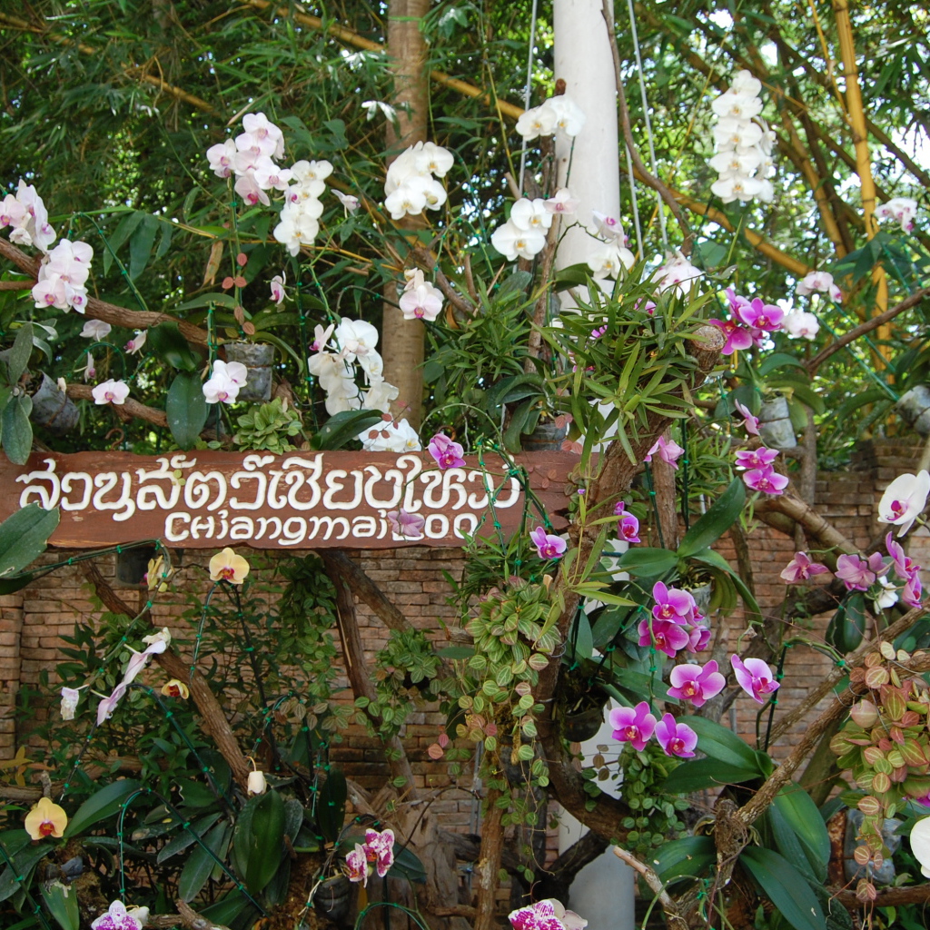 Ботанический сад на курорте Чианг Май, Таиланд