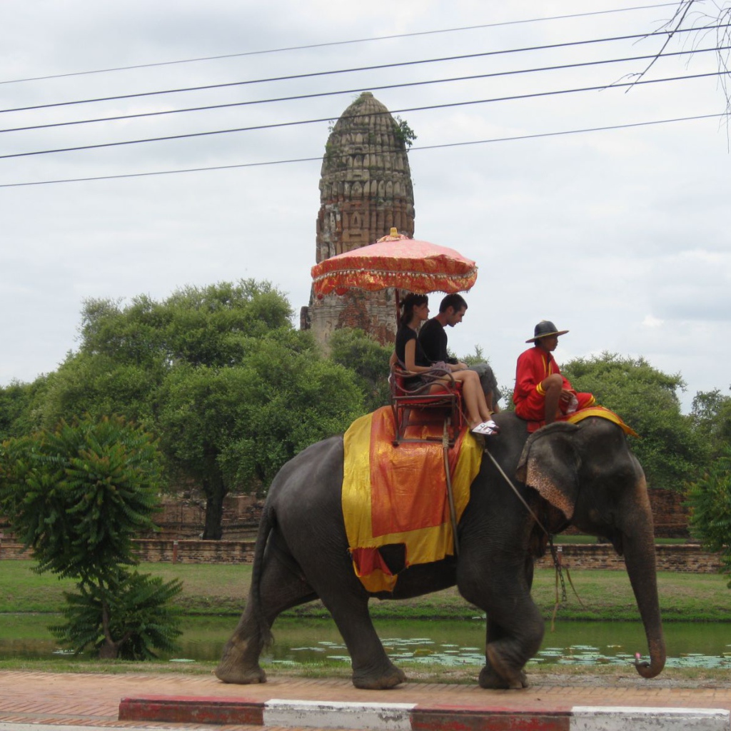 Прогулка на слоне на курорте Чианг Май, Таиланд