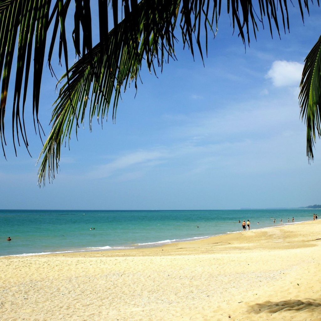 Золотой пляж на острове Самуи, Таиланд