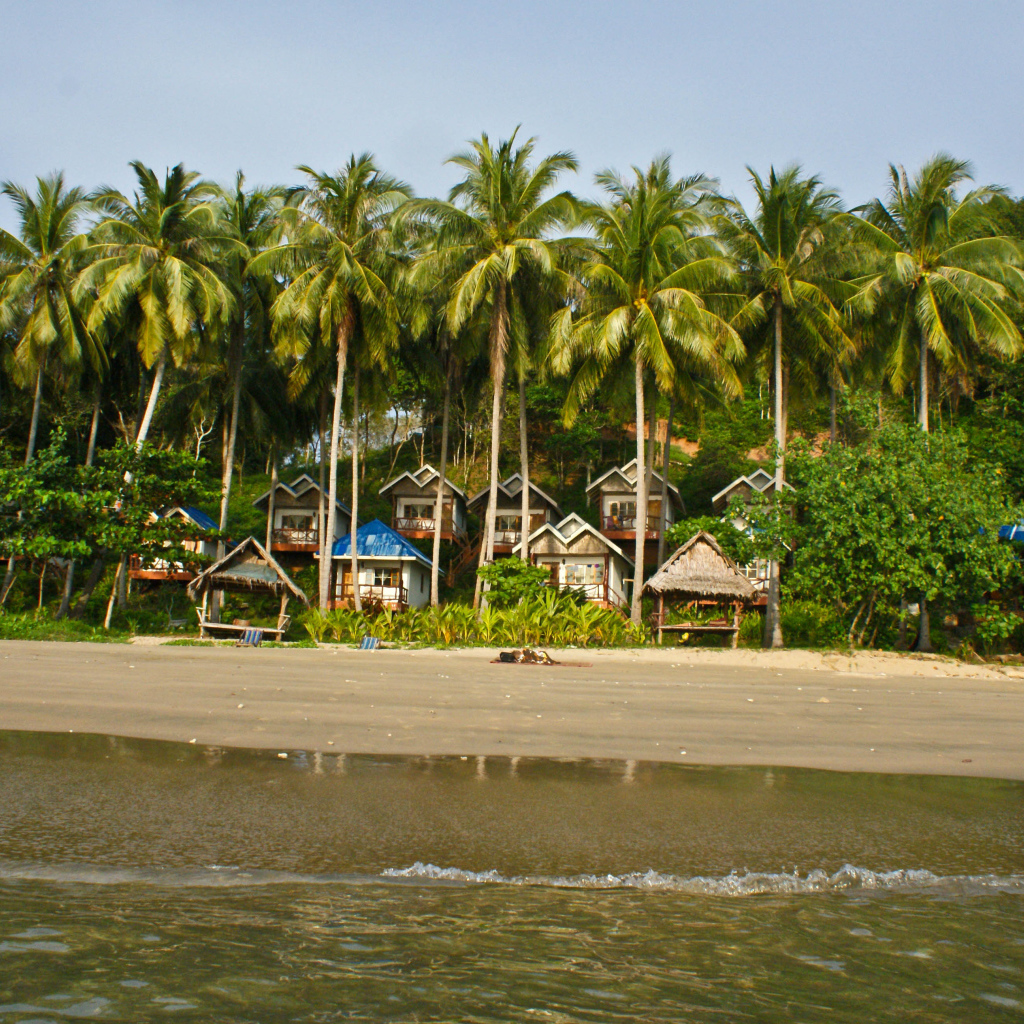 Дома среди пальм на острове Тао, Таиланд