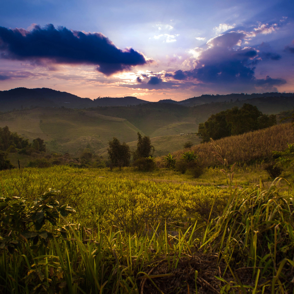 Недалеко от деревни Мае Салонг в Таиланде