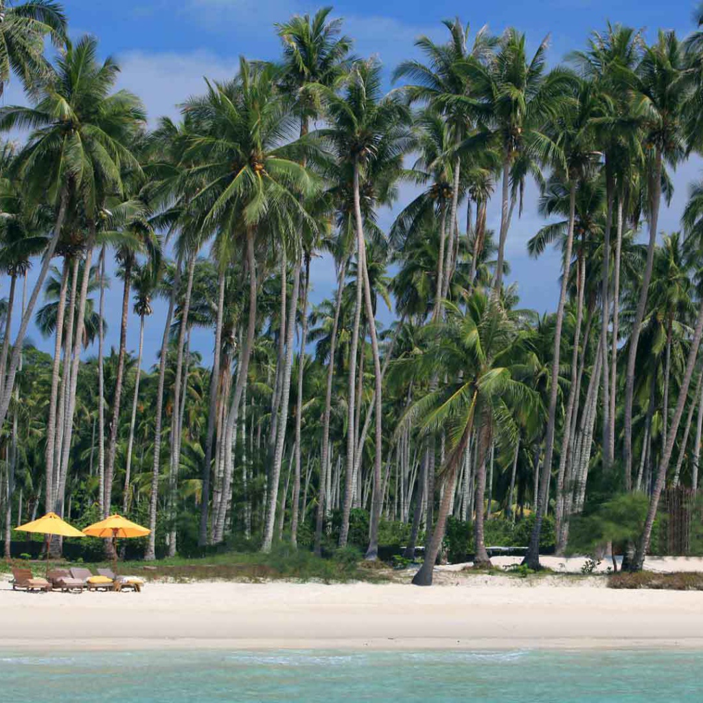 Пальмы на пляже на острове Ко Куд, Таиланд
