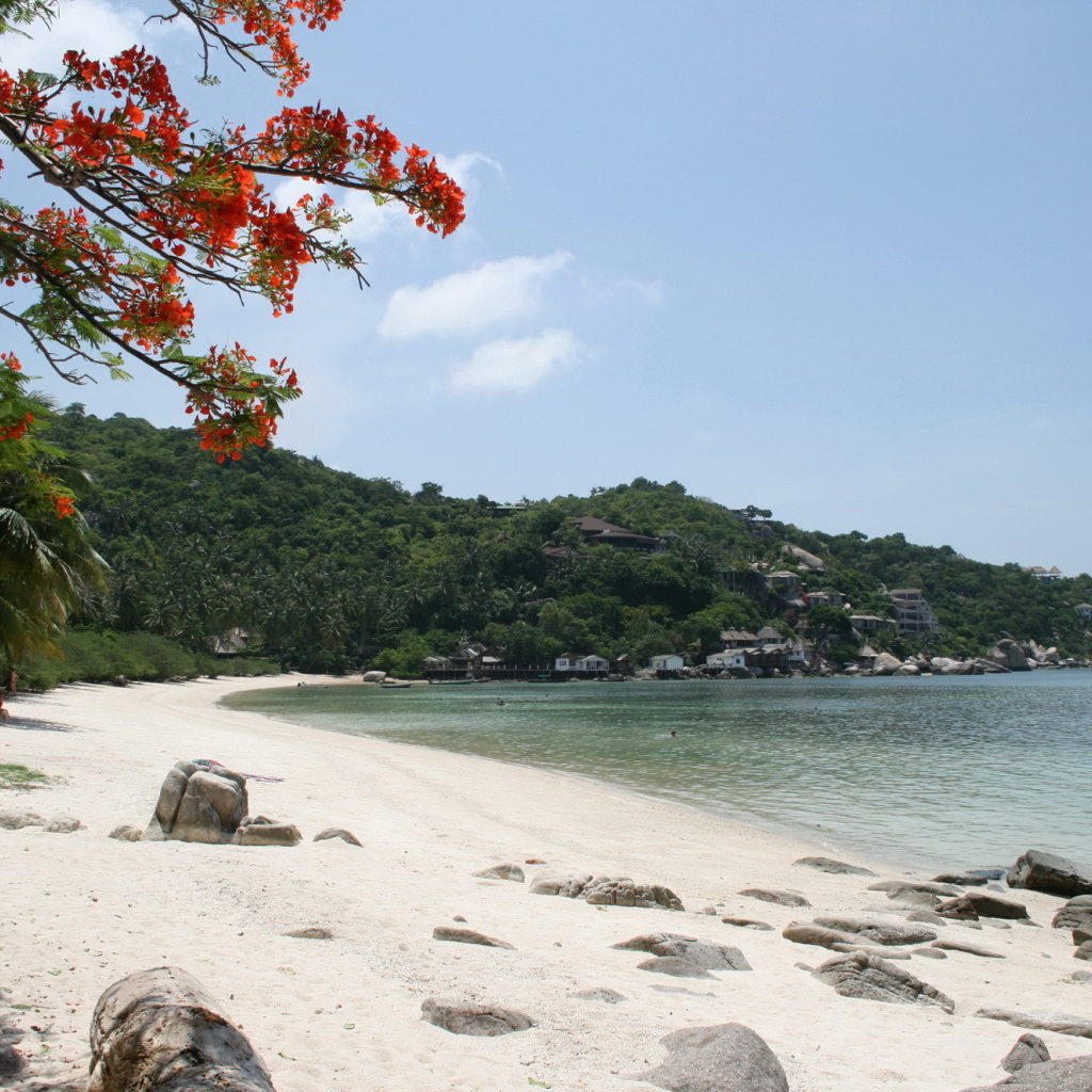 Песчаный пляж на острове Тао, Таиланд