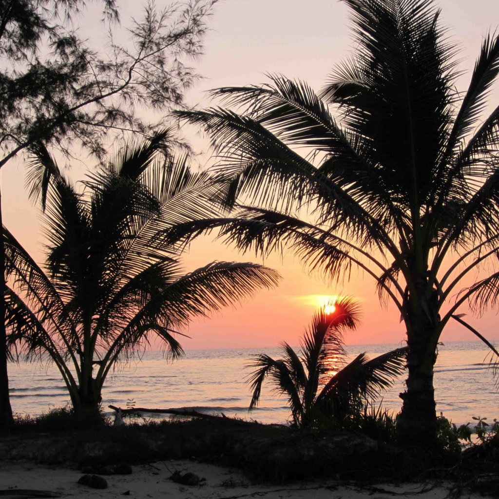 Закат среди пальм на острове Ко Куд, Таиланд