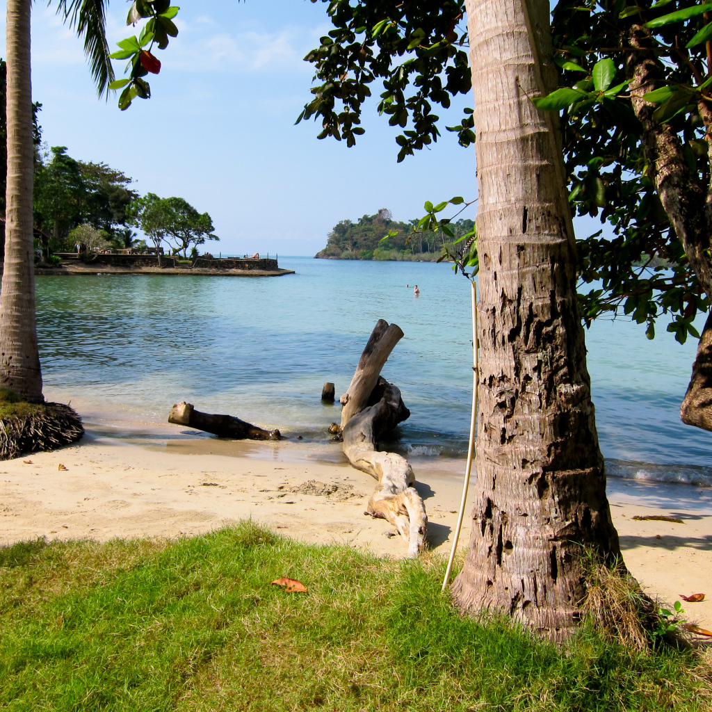 Деревья на пляже на курорте Районг, Таиланд