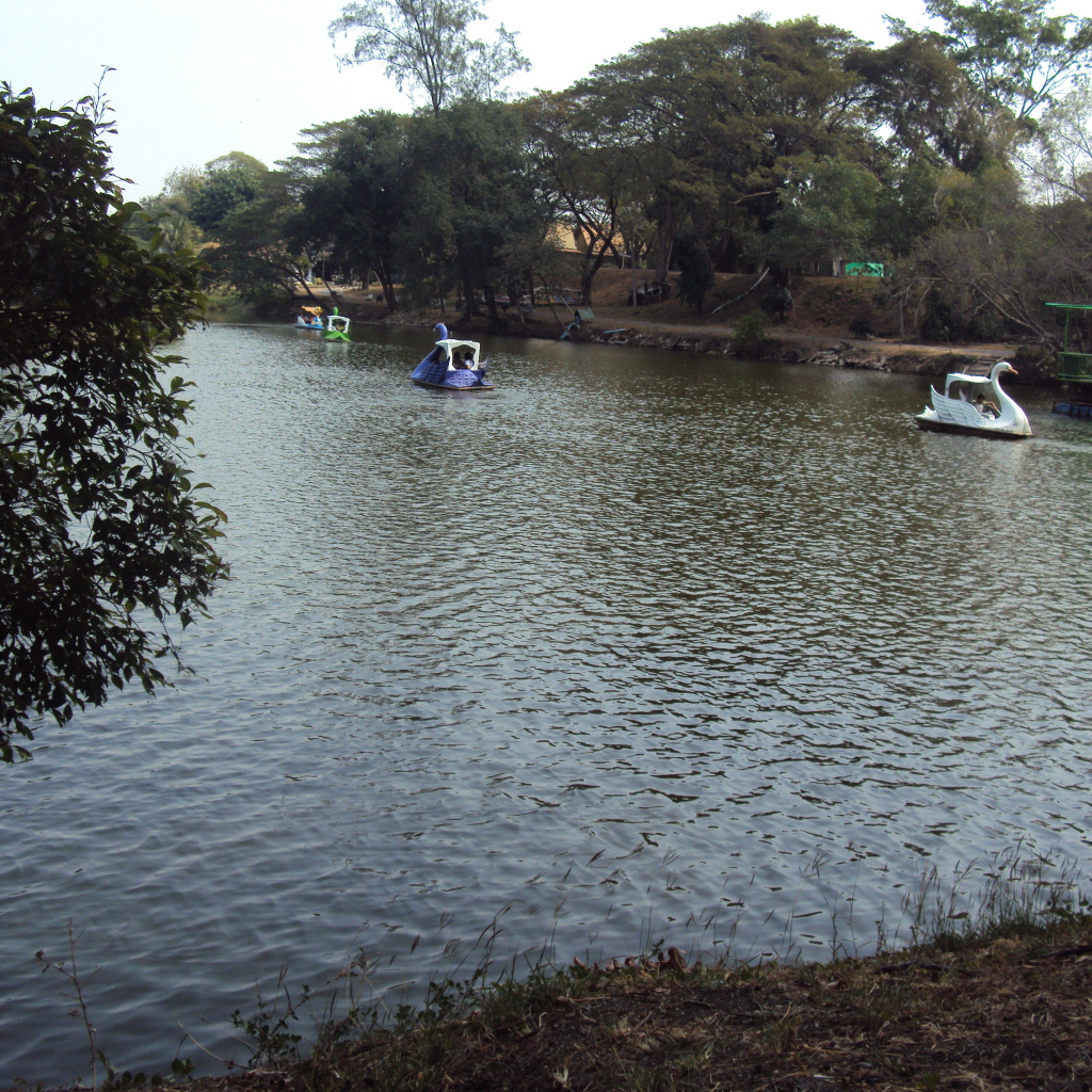 Зоопарк на курорте Лопбури, Таиланд