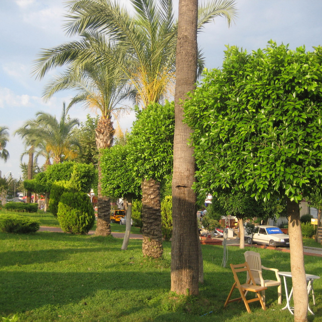 Великолепный парк в Кемере, Турция