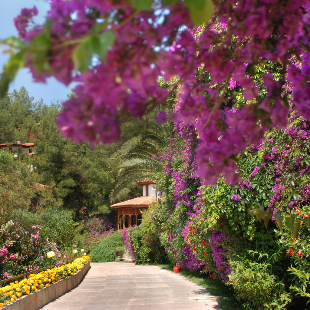 На курорте Фетхие, Турция