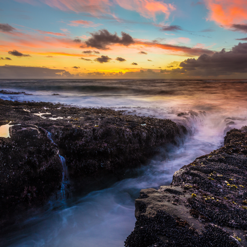 Парк штата Кейп Араго, США