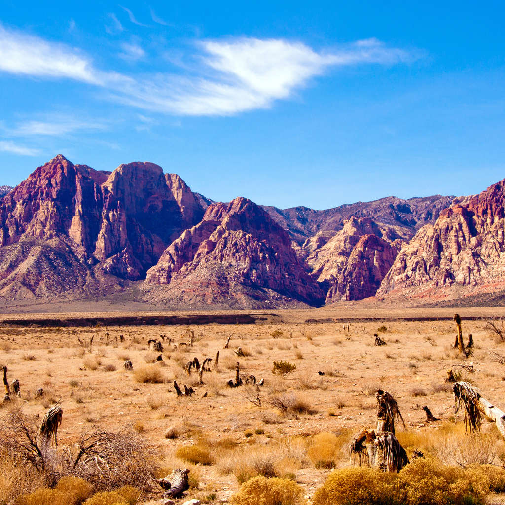 Desert in Nevada USA