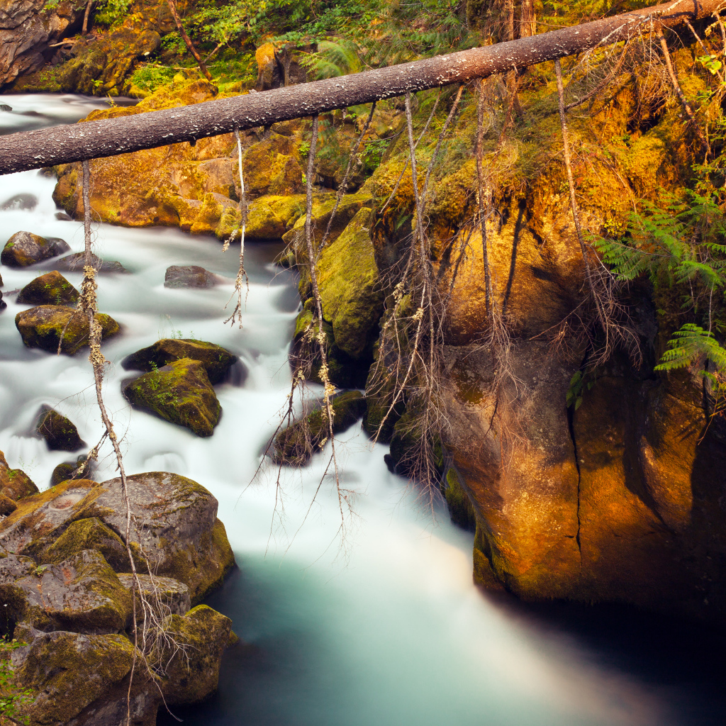 Река Северная Ампкуа, Орегон, США