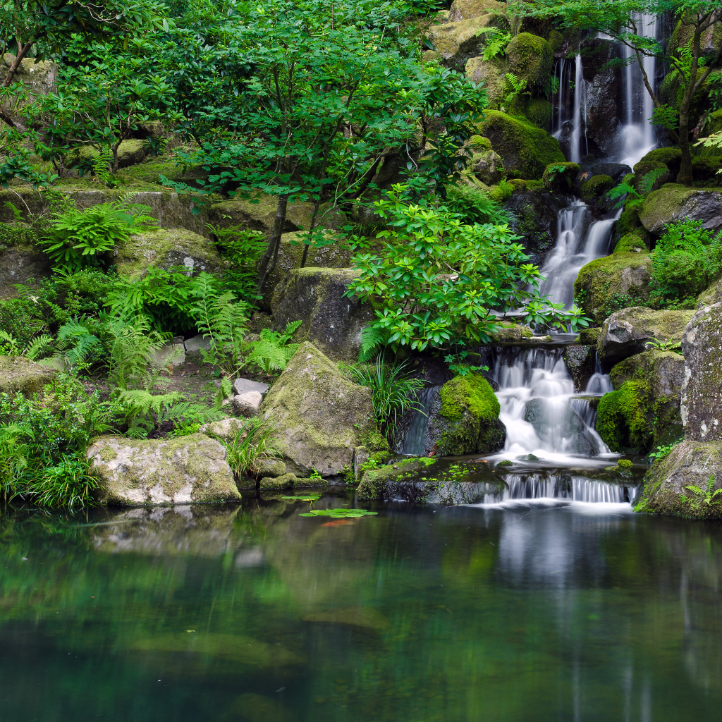 Портленд Джапанес Гарденс, Орегон, США