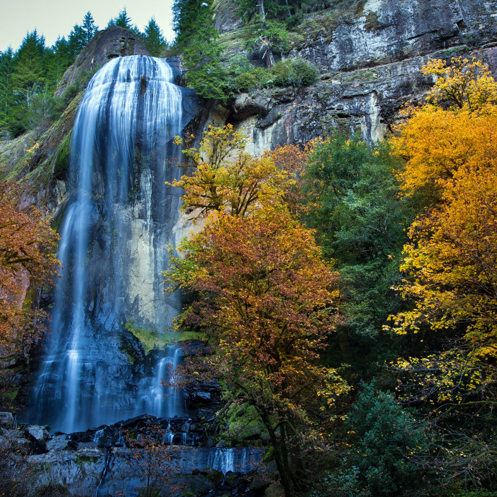 Парк Сильвер Фоллс, Западная Орегона, США