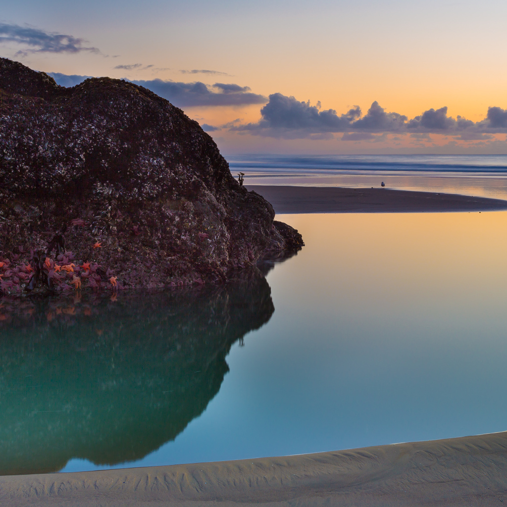 Камни на пляже Бэндон, США