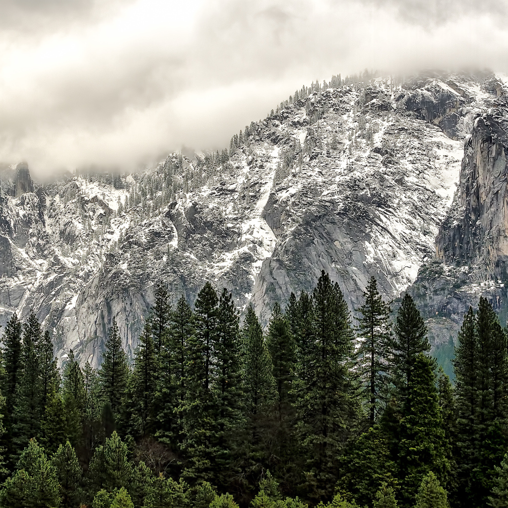Национальный парк Йосемити, Калифорния, США