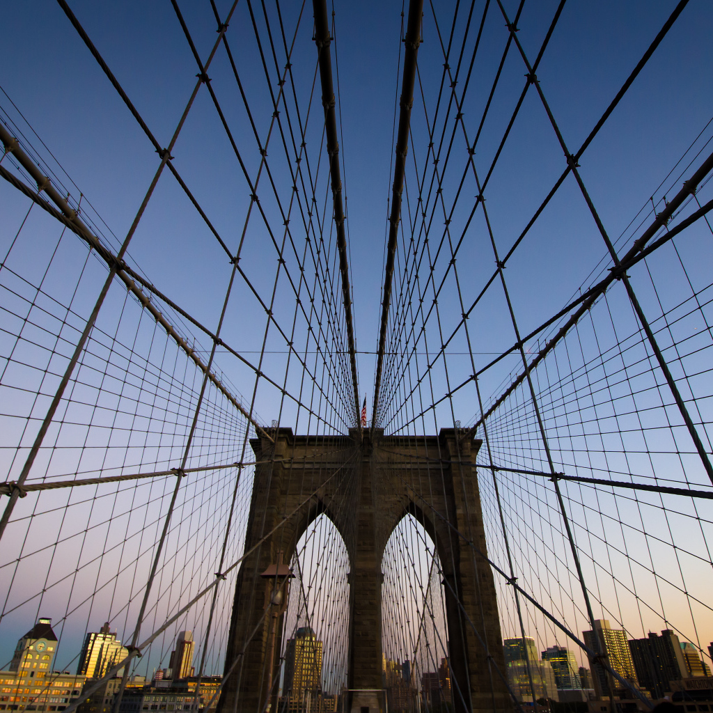 Network of Brooklyn Bridge, New York