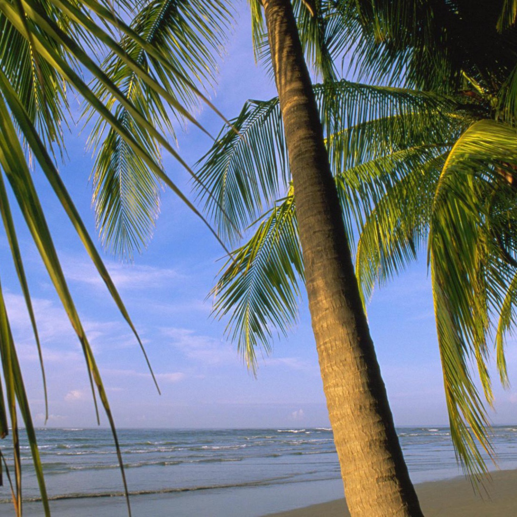 Потрясающая Погода Коста-Рика