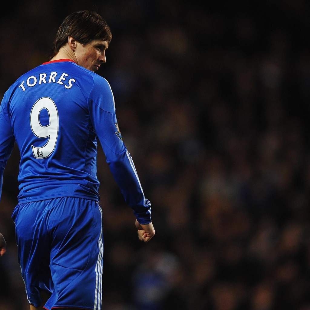 Спина Фернандо Торреса