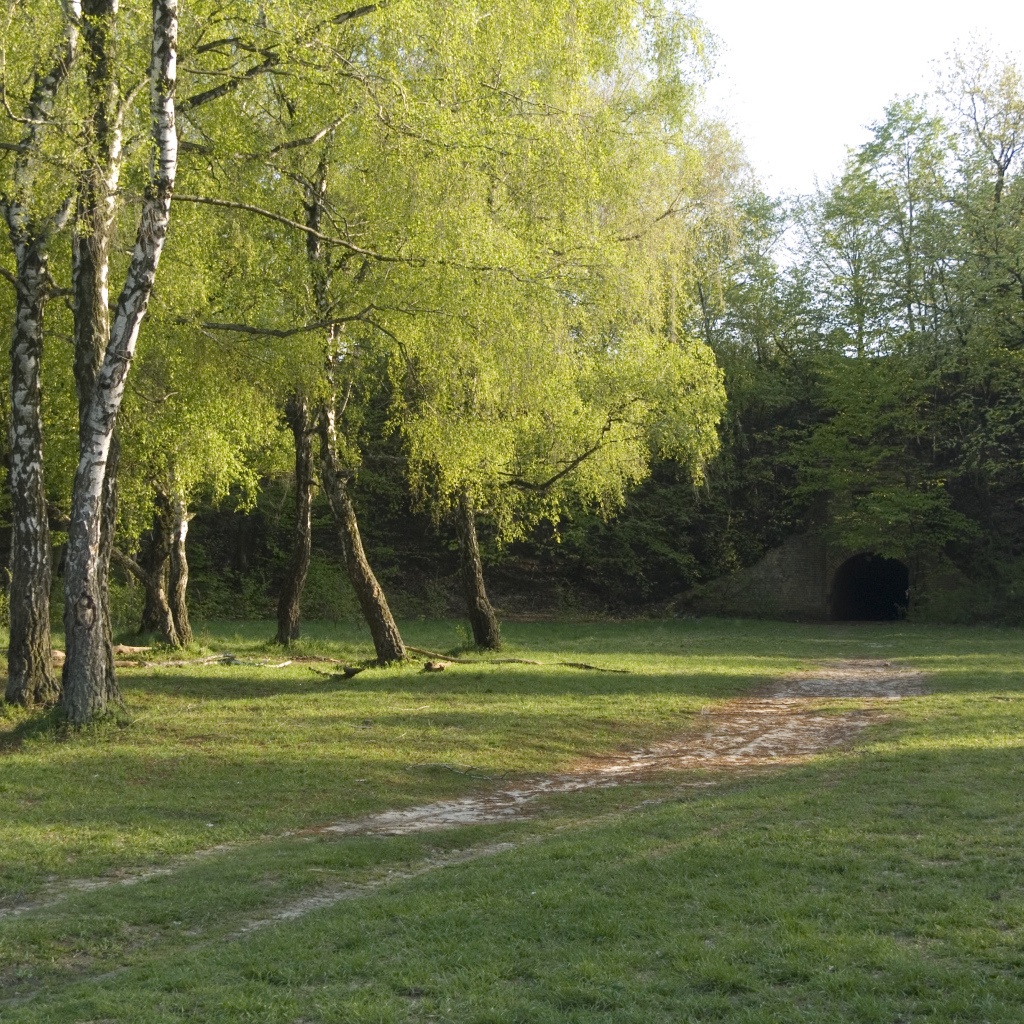 Лысая гора в Киеве