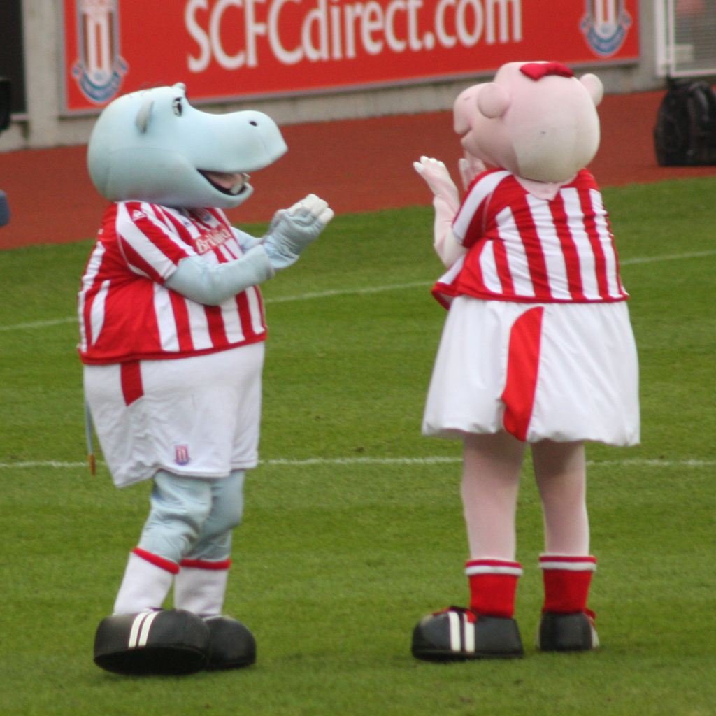 Возлюбленный ФК Англии Сток Сити